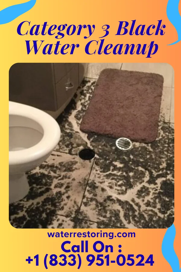Category 3 Black Water Cleanup in North Seekonk, MA
