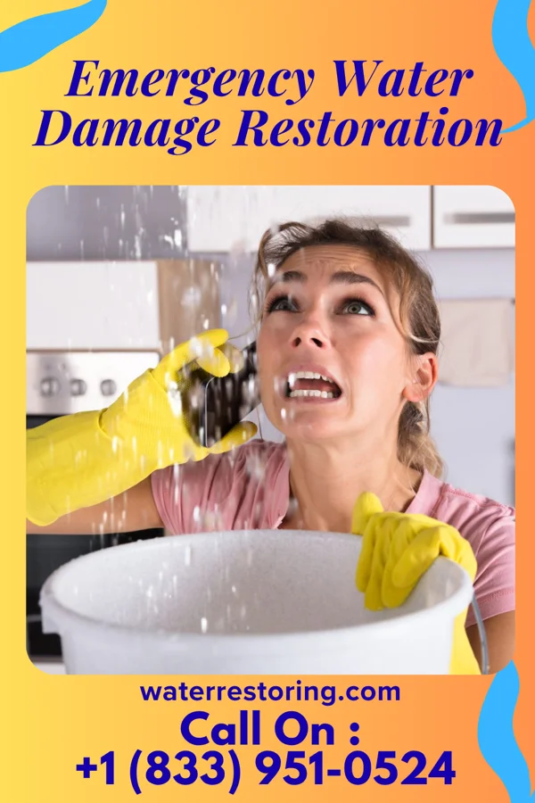 Emergency Water Damage Restoration in North Seekonk, MA