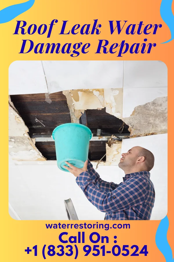 Roof Leak Water Damage Repair in North Seekonk, MA