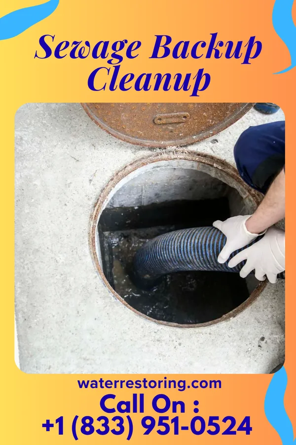 Sewage Backup Cleanup in North Seekonk, MA