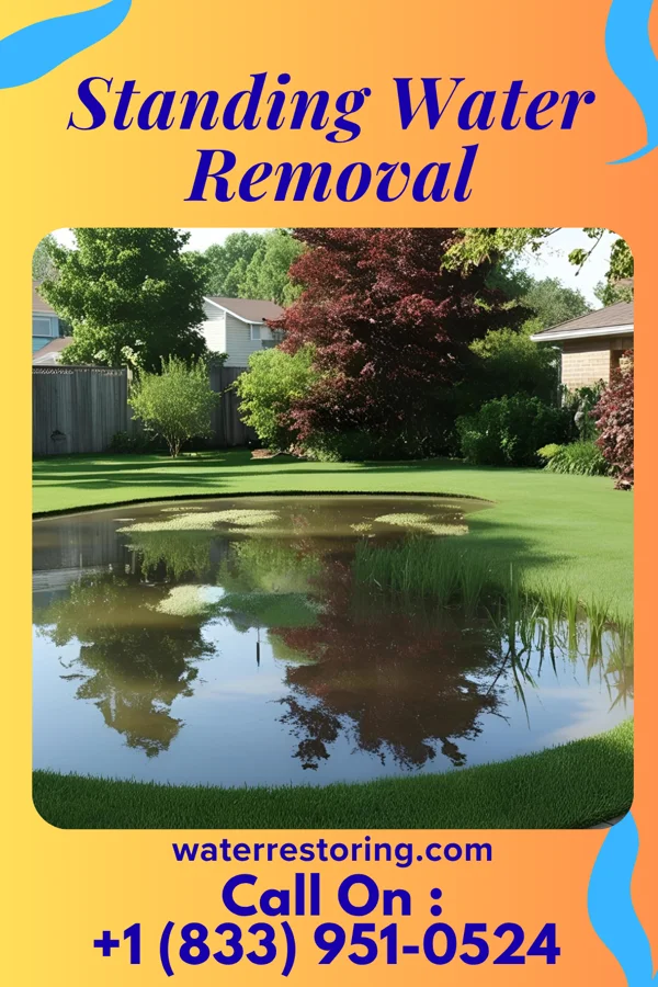 Standing Water Removal in North Seekonk, MA